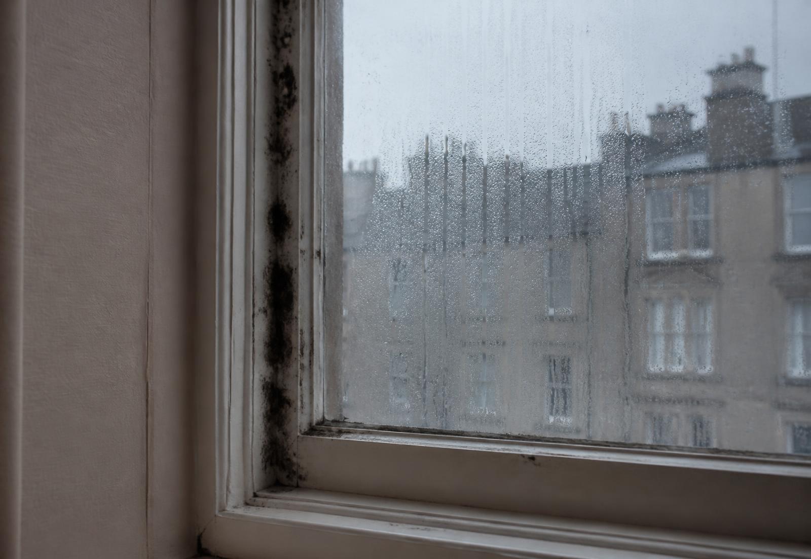 Heavy morning condensation on a Scottish tenement window with mould forming on the timber frame