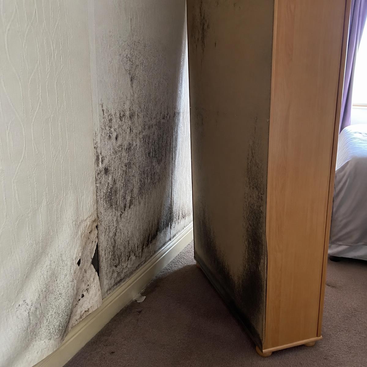 Black mould on a bedroom wall behind a wardrobe pulled away from it